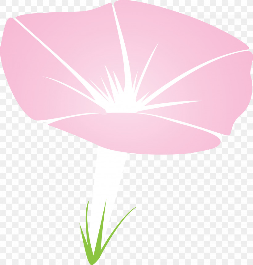 Morning Glory Flower, PNG, 2862x3000px, Morning Glory Flower, Anthurium, Flower, Herbaceous Plant, Leaf Download Free