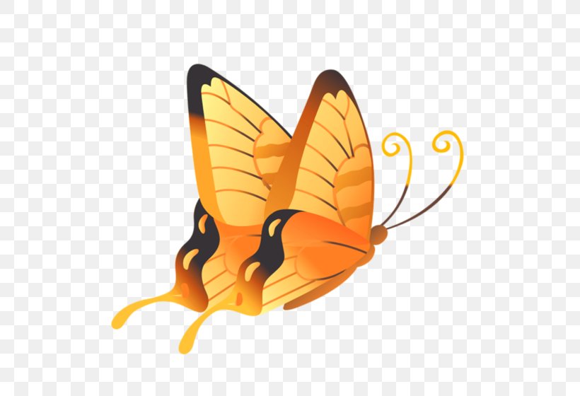 Butterfly Vector Graphics Insect Image, PNG, 600x560px, Butterfly, Arthropod, Borboleta, Brush Footed Butterfly, Color Download Free
