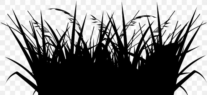 Clip Art Desktop Wallpaper Image, PNG, 900x414px, Lemongrass, Blackandwhite, Fluval Edge, Grass, Grass Family Download Free