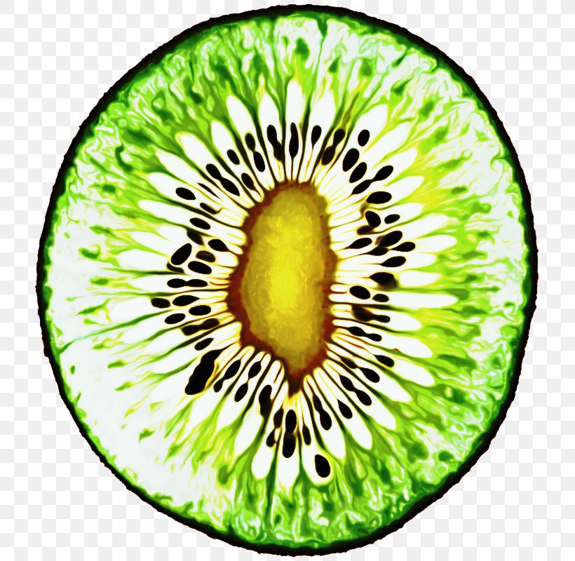 Green Circle, PNG, 729x800px, Kiwifruit, Fruit, Green, Hardy Kiwi, Plant Download Free