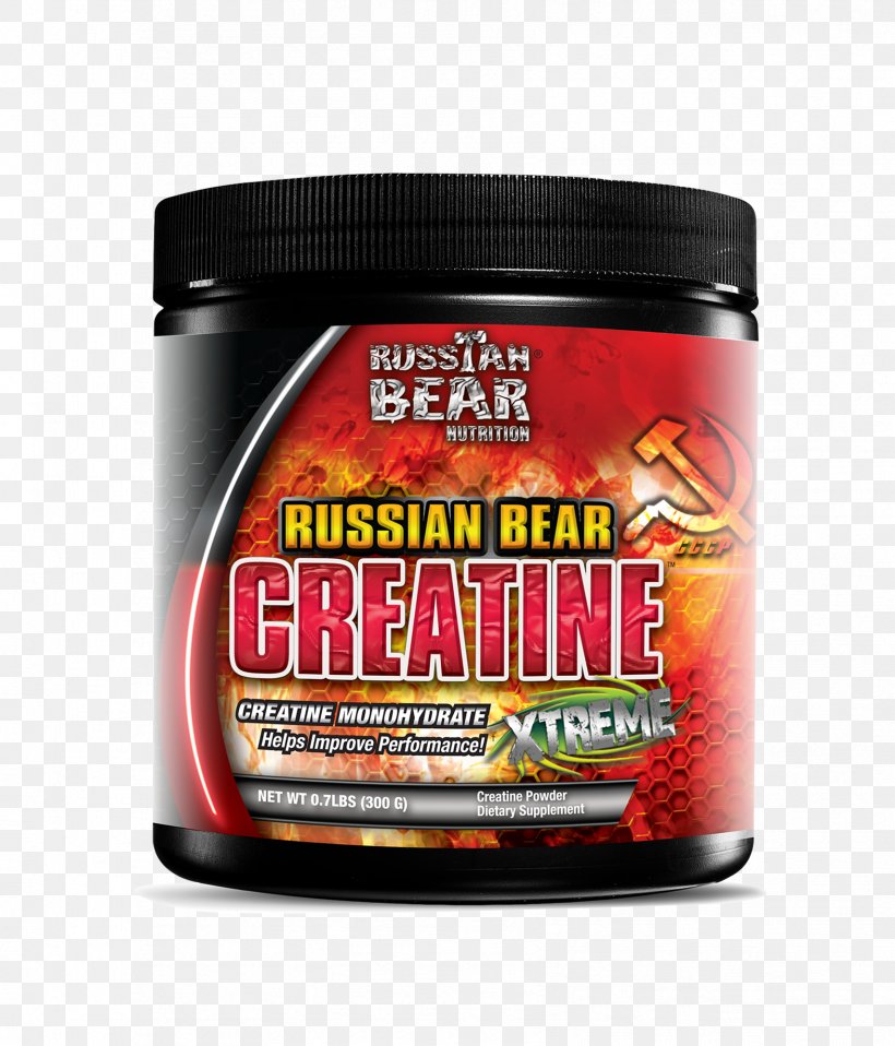 Russian Bear Russian Bear Brand Flavor, PNG, 1707x1995px, Bear, Brand, Creatine, Flavor, Gram Download Free