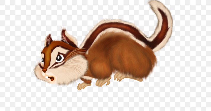 Squirrel Chipmunk Whiskers, PNG, 600x434px, Squirrel, Carnivoran, Cartoon, Cat, Chipmunk Download Free