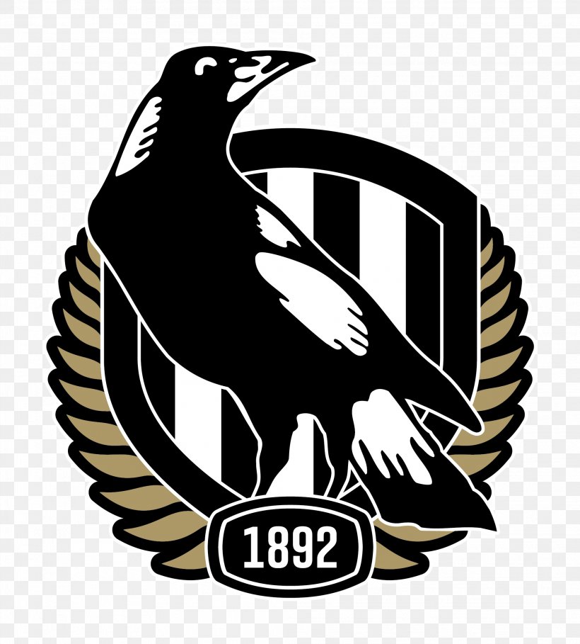 Collingwood Football Club Australian Football League Melbourne Cricket Ground Melbourne Football Club Northern Blues, PNG, 2083x2310px, Collingwood Football Club, Australian Football League, Australian Rules Football, Beak, Bird Download Free