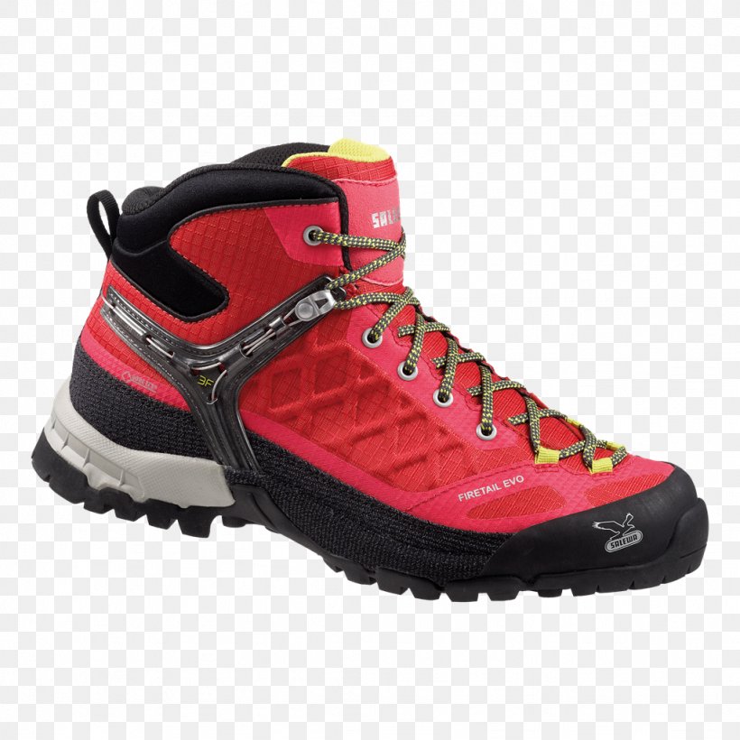 Gore-Tex Shoe W. L. Gore And Associates Hiking Boot, PNG, 1024x1024px, Goretex, Athletic Shoe, Basketball Shoe, Boot, Cross Training Shoe Download Free