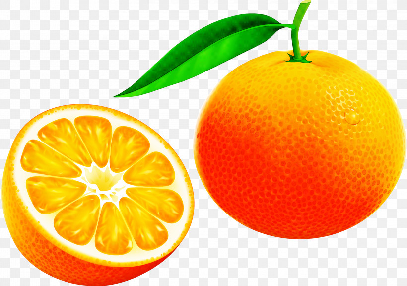 Orange, PNG, 2999x2108px, Citrus, Accessory Fruit, Bitter Orange, Calamondin, Citric Acid Download Free