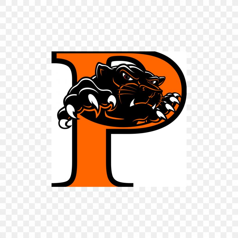 Raymore–Peculiar High School Palmyra High School Ladue School District 2017 Carolina Panthers Season, PNG, 1000x1000px, School, American Football, Basketball, Carnivoran, Cat Like Mammal Download Free