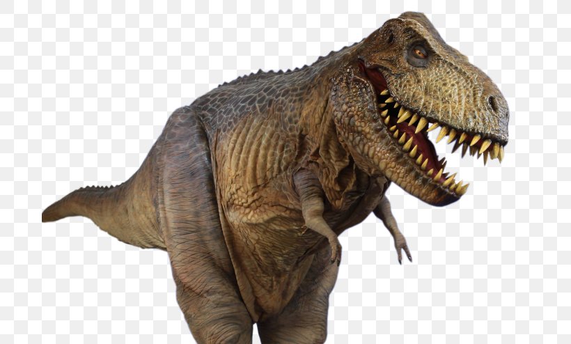 Tyrannosaurus Spinosaurus, PNG, 700x494px, Tyrannosaurus, College, Dinosaur, Extinction, Organism Download Free