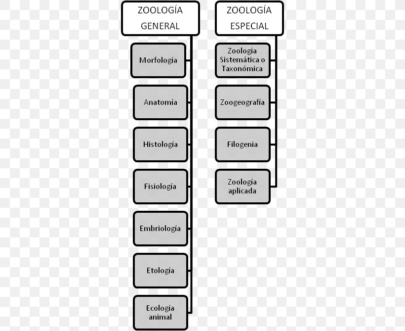 Zoology Anatomy Physiology Ethology Histology, PNG, 548x669px, Zoology, Anatomia Animal, Anatomy, Area, Branch Download Free