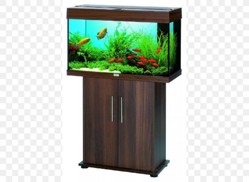 Aquariums Fishkeeping Ornamental Fish, PNG, 600x600px, Aquarium, Aquariums, Comparison Shopping Website, Eheim, Fish Download Free