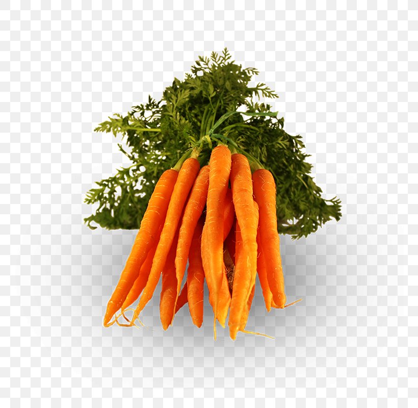 Baby Carrot Vegetarian Cuisine Vegetable Onion Food, PNG, 800x800px, Baby Carrot, Bell Pepper, Brassica Oleracea, Broccoli, Carrot Download Free