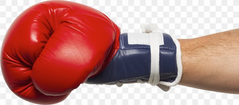 Boxing Glove Punching & Training Bags, PNG, 4503x1982px, Boxing, Boxing Equipment, Boxing Glove, Boxing Training, Everlast Download Free