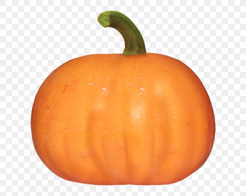 Cucurbita Pumpkin Gourd Winter Squash Vegetable, PNG, 2500x1995px, Cucurbita, Calabaza, Cucumber, Cucumber Gourd And Melon Family, Food Download Free