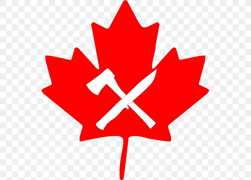 Flag Of Canada Maple Leaf Clip Art, PNG, 549x589px, Canada, Area, Flag, Flag Of Canada, Flower Download Free