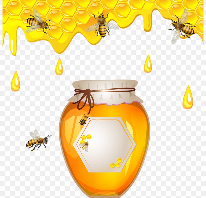 Honey Bee Honey Bee Honeycomb, PNG, 800x787px, Bee, Bee Pollen, Food, Honey, Honey Bee Download Free