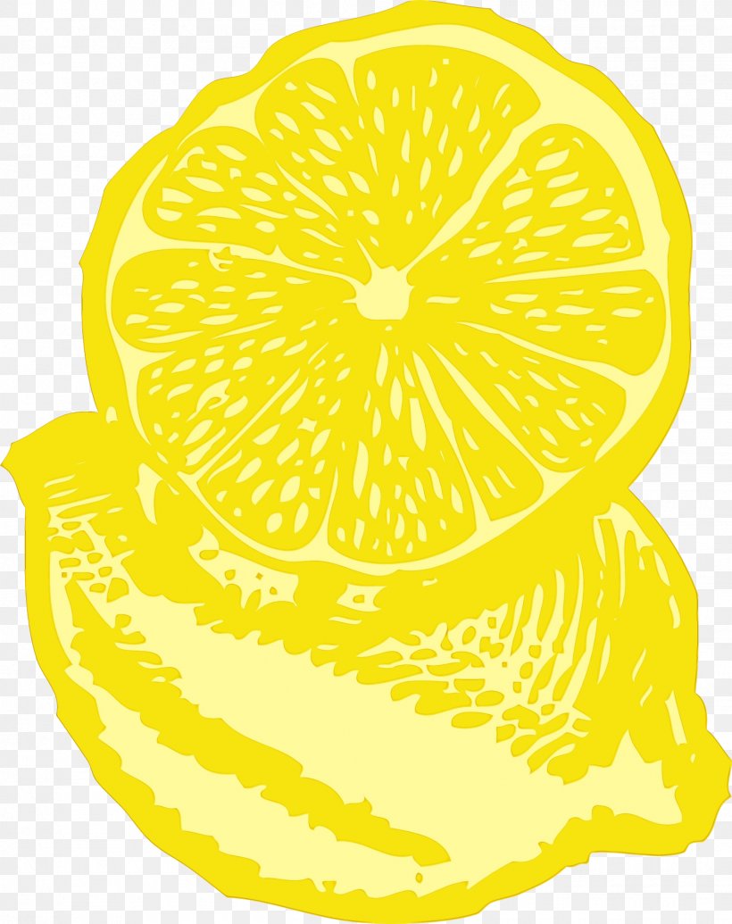 Lemon Slice, PNG, 1521x1920px, Watercolor, Citron, Citrus, Food, Fruit Download Free