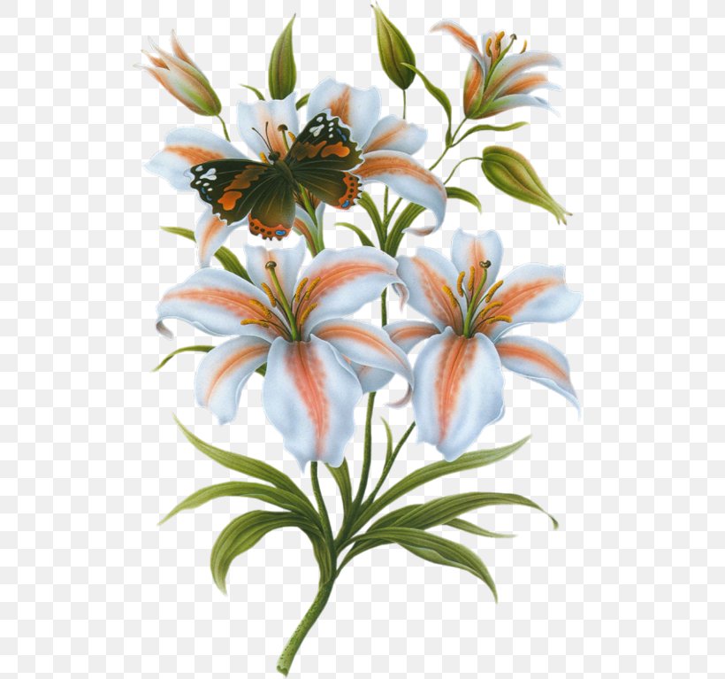 Lilium Bulbiferum Flower Bokmxe4rke, PNG, 520x767px, Lilium Bulbiferum, Designer, Flora, Floral Design, Floristry Download Free