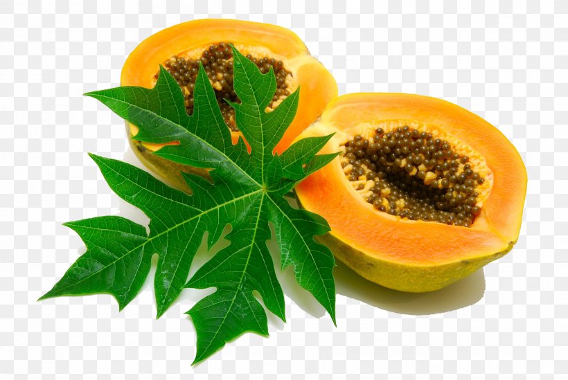 Papaya Juice Leaf Health Ingredient, PNG, 2503x1676px, Papaya, Cancer, Cure, Disease, Drink Download Free