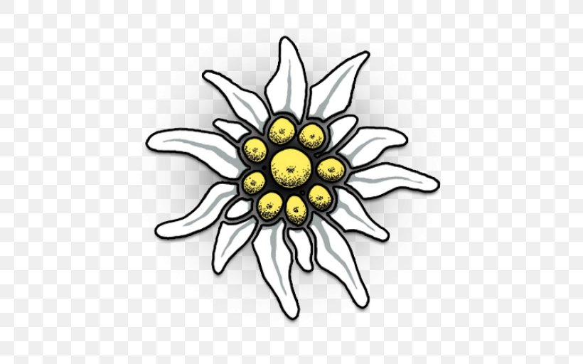 Pinfinite, PNG, 512x512px, Edelweiss, Android, Camomile, Chamomile, Daisy Download Free