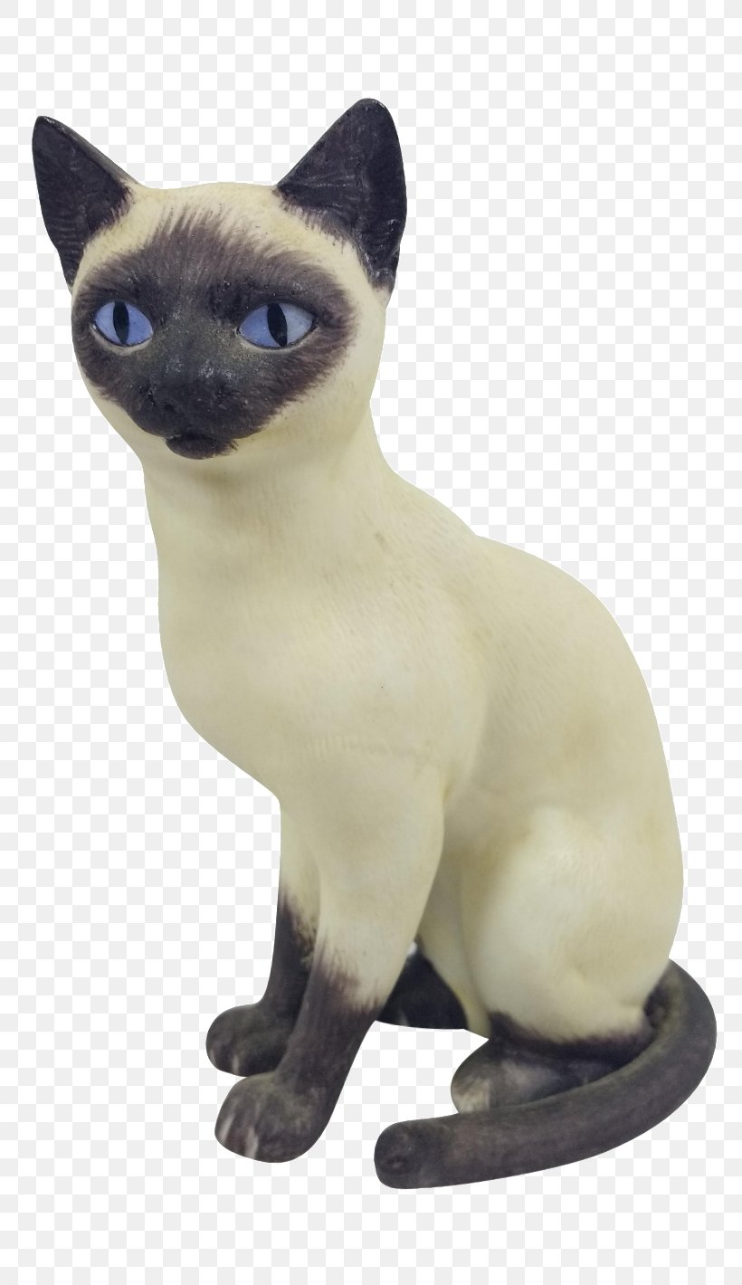 Siamese Cat Tonkinese Cat Domestic Short-haired Cat Whiskers Snout, PNG, 799x1420px, Siamese Cat, Asia, Asian, Asian People, Carnivoran Download Free