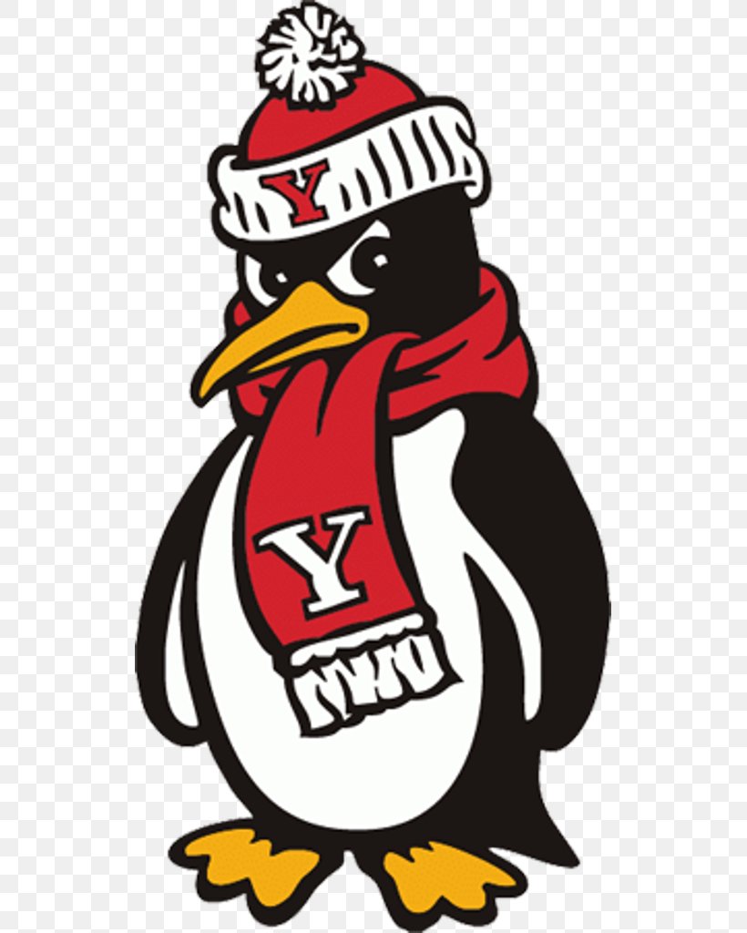 Youngstown State University Youngstown State Penguins Football Youngstown State Penguins Men's Basketball Stambaugh Stadium Division I (NCAA), PNG, 523x1024px, Youngstown State University, Art, Artwork, Basketball, Beak Download Free