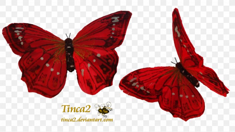 Butterfly Red Greta Oto Clip Art, PNG, 1024x576px, Butterfly, Arthropod, Butterflies And Moths, Color, Cymothoe Sangaris Download Free