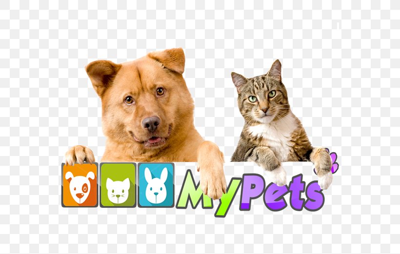 Dog Cat Pet Animal Steam Cleaning, PNG, 570x521px, Dog, Animal, Animal Rescue Group, Animal Shelter, Carnivoran Download Free