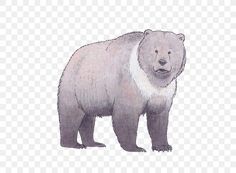 Polar Bear Brown Bear The Clan Of The Cave Bear Ursus Deningeri, PNG, 602x600px, Polar Bear, Animal, Bear, Bears, Brown Bear Download Free