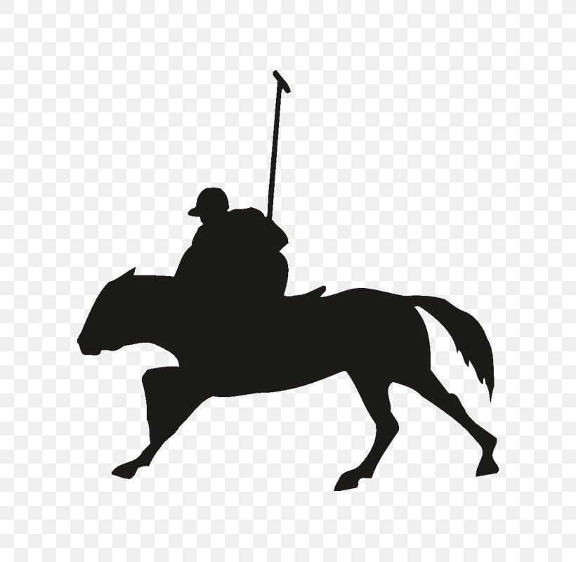 Polo Sport, PNG, 800x800px, Polo, Black, Black And White, Bridle, Bumper Sticker Download Free