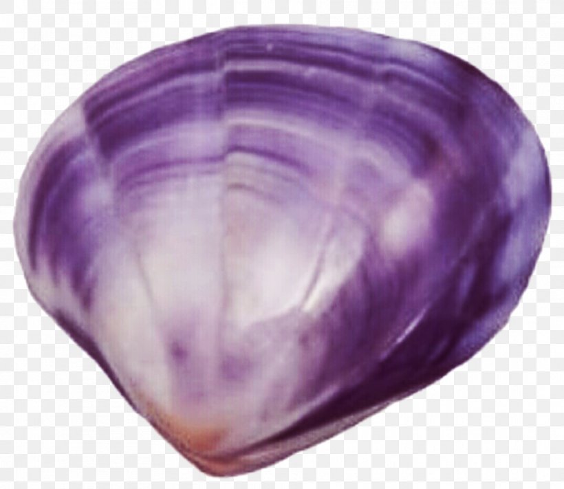 Clam Purple Seashell Clip Art, PNG, 959x832px, Clam, Amethyst, Atlantic Surf Clam, Clamshell, Gemstone Download Free