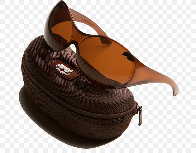 Goggles Sunglasses Fly Shades Portuguese, PNG, 683x641px, Goggles, Brown, Com, English, Eyewear Download Free