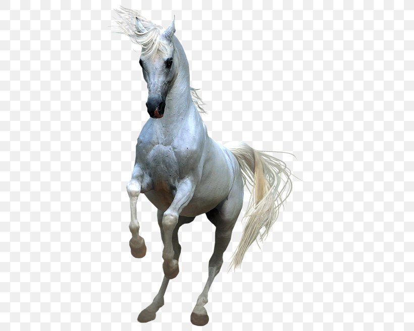 Horses Clip Art, PNG, 405x657px, Horse, Animal, Fictional Character, Gimp, Horse Like Mammal Download Free