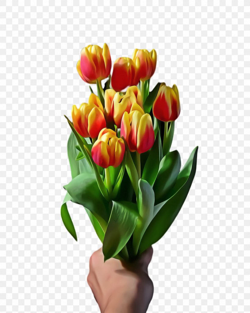 Lily Flower Cartoon, PNG, 1788x2236px, Tulip, Artificial Flower, Blossom, Bouquet, Bud Download Free