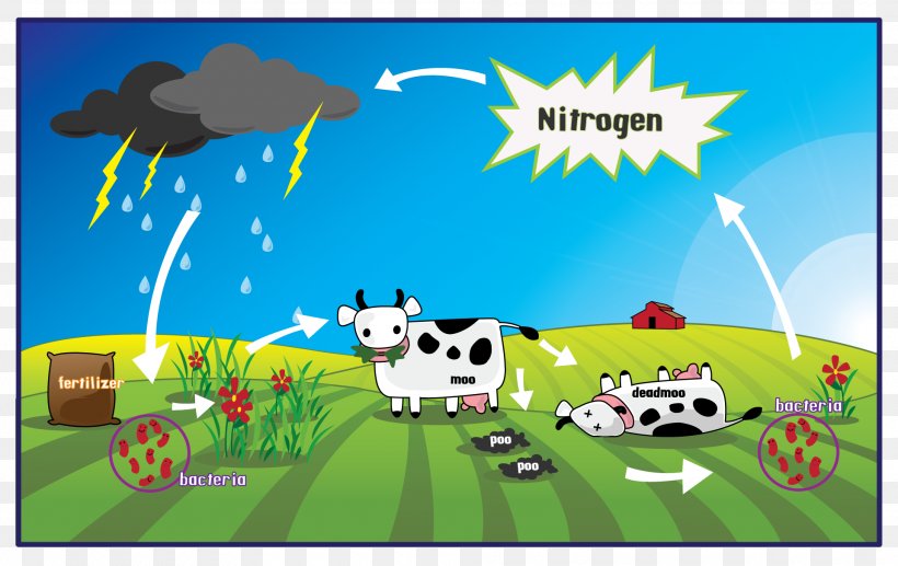 Nitrogen Cycle Gas Oxygen Cycle Rock Cycle, PNG, 1920x1212px, Nitrogen Cycle, Advertising, Ammonia, Art, Atmosphere Of Earth Download Free