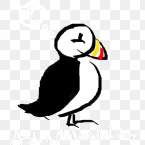 Bird - Puffin Bird Beak Drawing Clip Art PNG