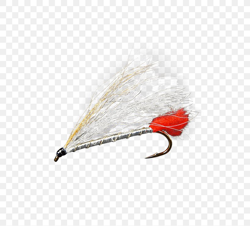 Artificial Fly Eastern Blacknose Dace Holly Flies Email September 1, PNG, 555x741px, Artificial Fly, Bait, Email, Fishing Bait, Fishing Lure Download Free