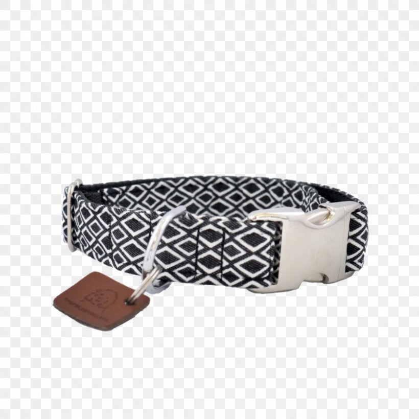 Belt Buckles Dog Collar, PNG, 842x842px, Belt, Belt Buckle, Belt Buckles, Buckle, Collar Download Free