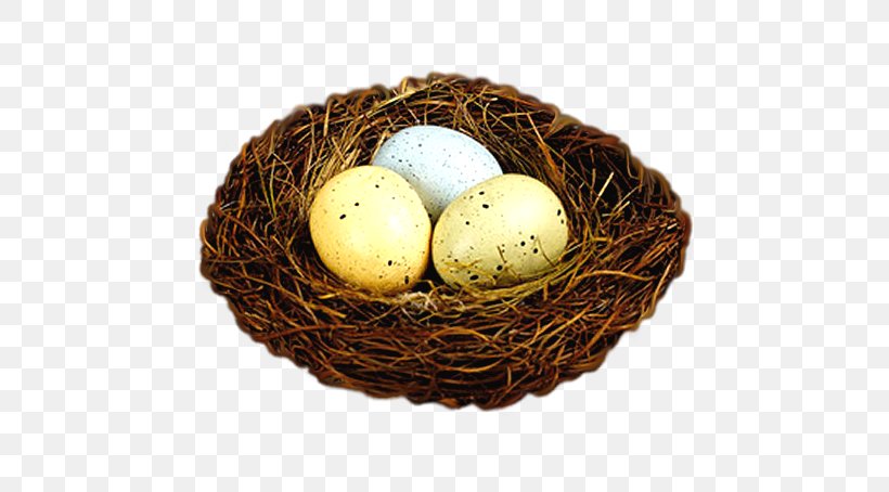 Nest Bird Egg Easter Bunny, PNG, 592x454px, Nest, Bird, Bird Nest, Color, Drawing Download Free