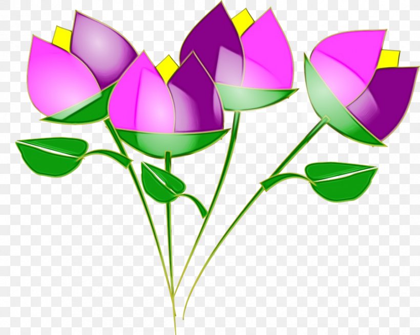 Clip Art Vector Graphics Drawing Lily, PNG, 901x720px, Drawing, Botany, Bud, Crocus, Cut Flowers Download Free