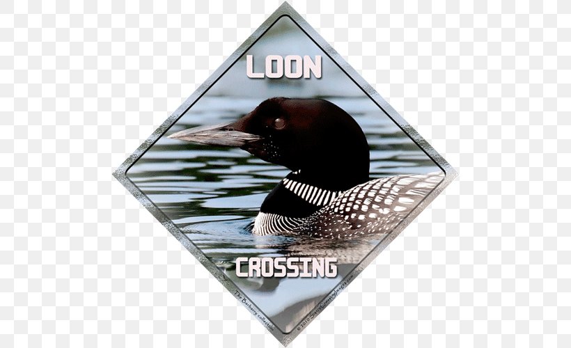 Duck Advertising Loons Refrigerator Magnets Vehicle License Plates, PNG, 500x500px, Duck, Advertising, Aluminium, Bird, Craft Magnets Download Free