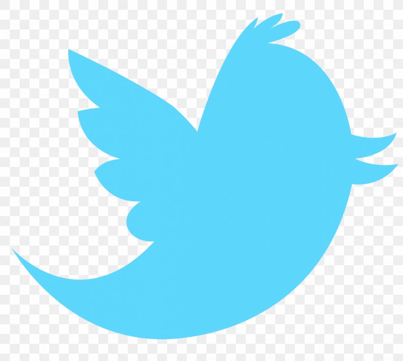 Logo Social Media, PNG, 1137x1020px, Logo, Aqua, Azure, Beak, Bird Download Free