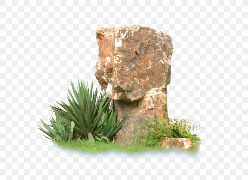 Rock Garden, PNG, 668x595px, Rock, Ecosystem, Flowerpot, Google Images, Grass Download Free
