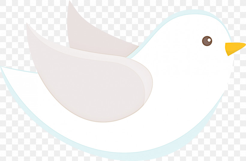 White Bird Beak, PNG, 1653x1080px, White, Beak, Bird Download Free