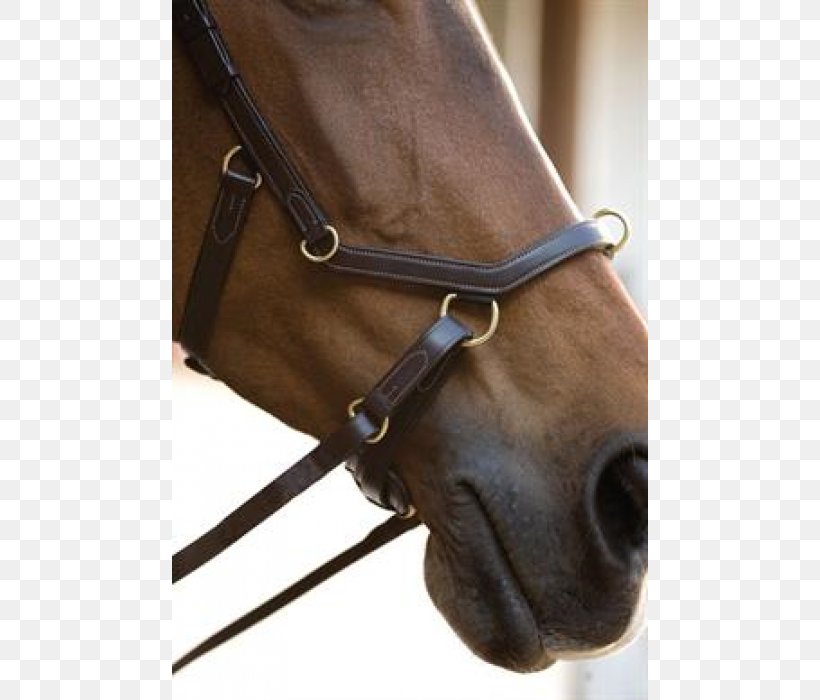 Bitless Bridle Horse Tack Noseband, PNG, 700x700px, Bridle, Bit, Bitless Bridle, Brass, Brown Download Free