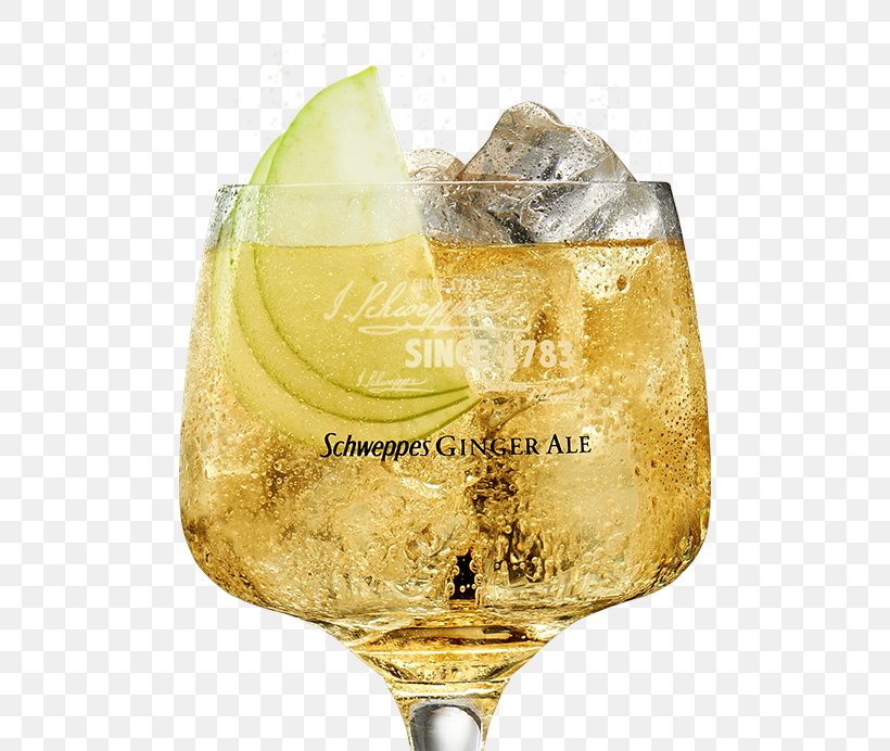 Gin And Tonic Ginger Ale Whiskey Cocktail Chivas Regal, PNG, 625x692px, Gin And Tonic, Bartender, Bourbon Whiskey, Chivas Regal, Cocktail Download Free
