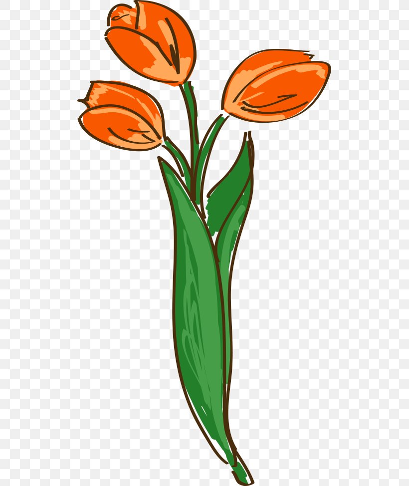 Netherlands Tulip Clip Art, PNG, 509x974px, Netherlands, Artwork, Cartoon, Flora, Flower Download Free