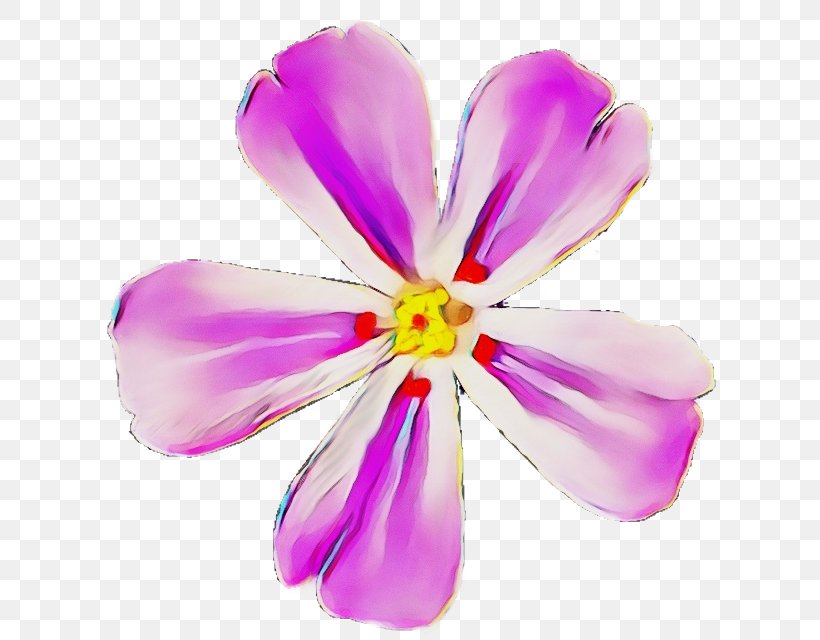 Purple Watercolor Flower, PNG, 640x640px, Watercolor, Cut Flowers, Family, Flower, Paint Download Free