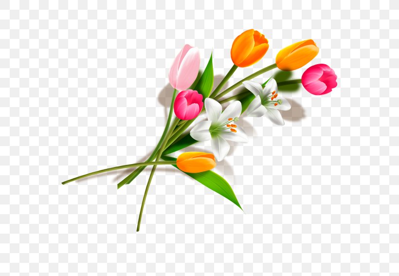 Tulip Flower Bouquet, PNG, 567x567px, Tulip, Cut Flowers, Floral Design, Floristry, Flower Download Free