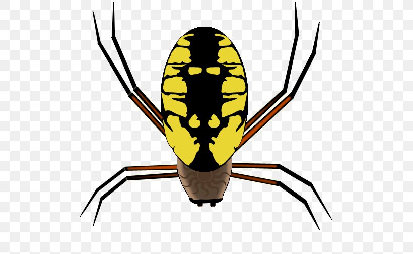 Yellow Background, PNG, 504x504px, Web Design, Arachnid, Competition, Insect, Membrane Download Free