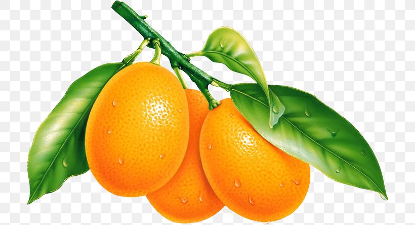 Fruit Desktop Wallpaper Orange Tangerine, PNG, 714x444px, Fruit, Bitter Orange, Calamondin, Chenpi, Citric Acid Download Free