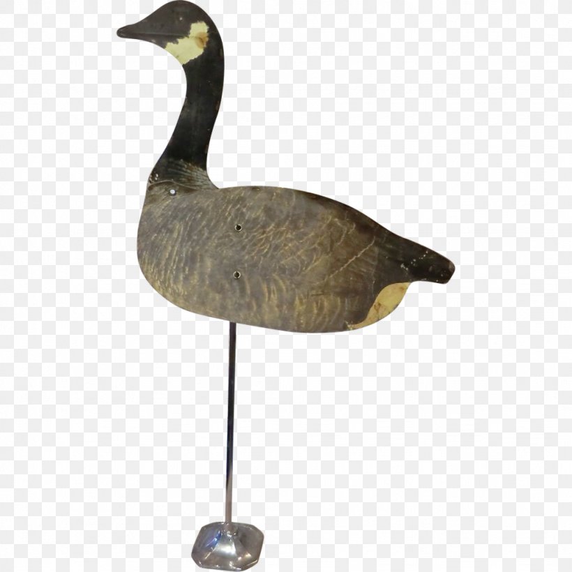 Goose Duck Water Bird Anatidae, PNG, 1024x1024px, Goose, Anatidae, Beak, Bird, Cygnini Download Free